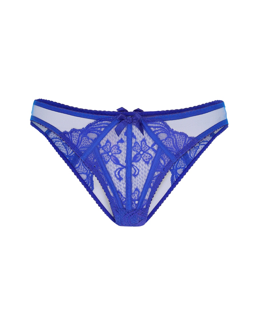 Синие классические трусы Rozlyn