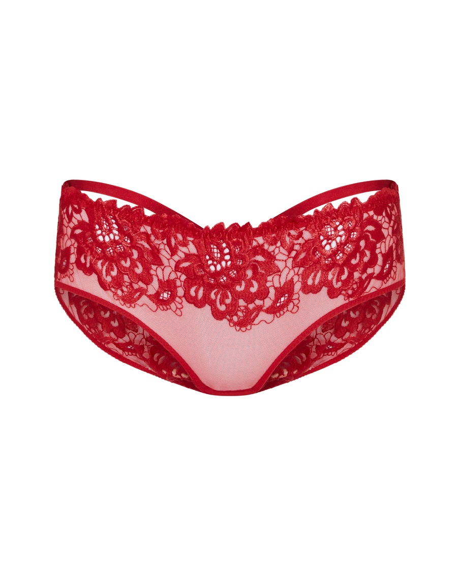 Красные классические трусы Cendrillon