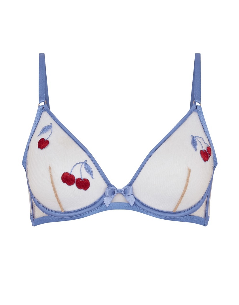 DonnieМягкий бюстгальтер на косточках с вышивкой и голубой отделкой Donnie